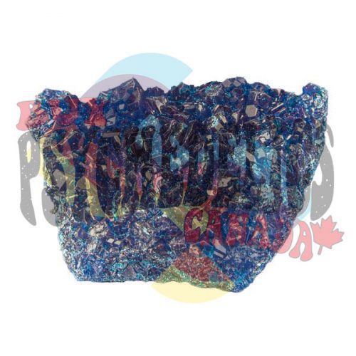 Blue Dolphin Molly MDMA