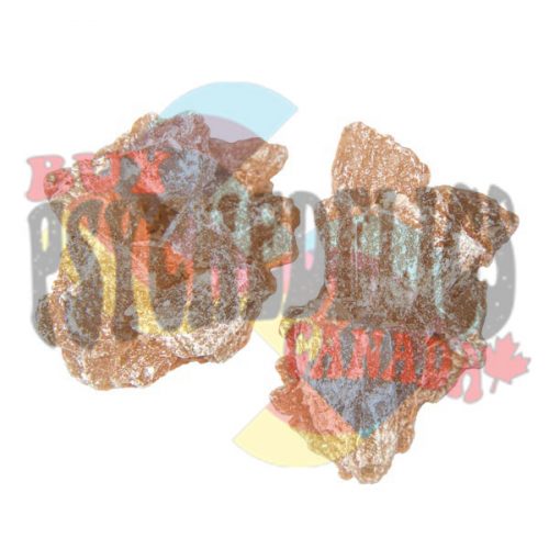 Buy Champagne Molly MDMA Online in Canada - Buy Psychedelics Canada
