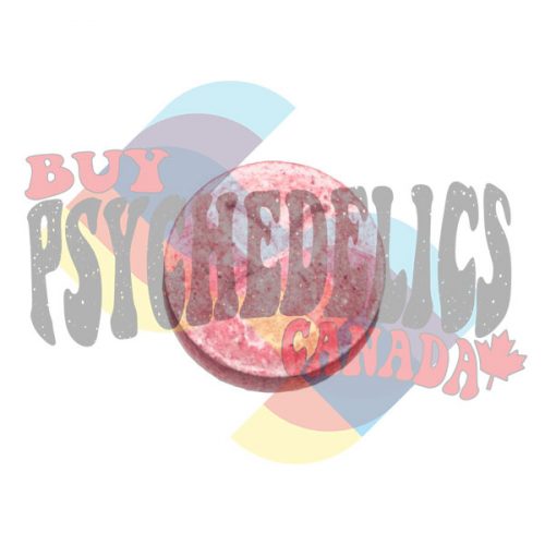 Ecstasy - Playboy